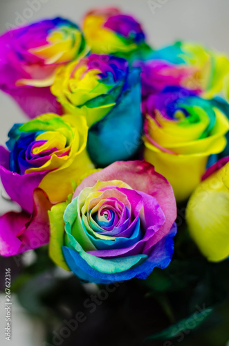 Photo of rainbow-colored roses