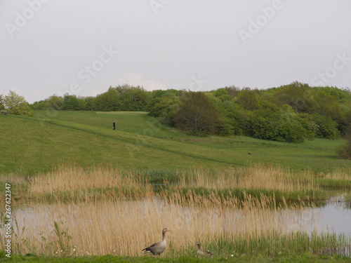 Peaceful landscape of suburb in Copenhagen, Denmark