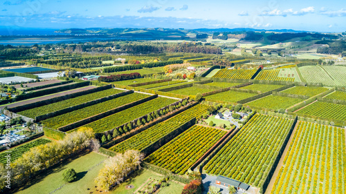 Little farms and orchards with oceanic bay on the background. Auckland, New Zealand