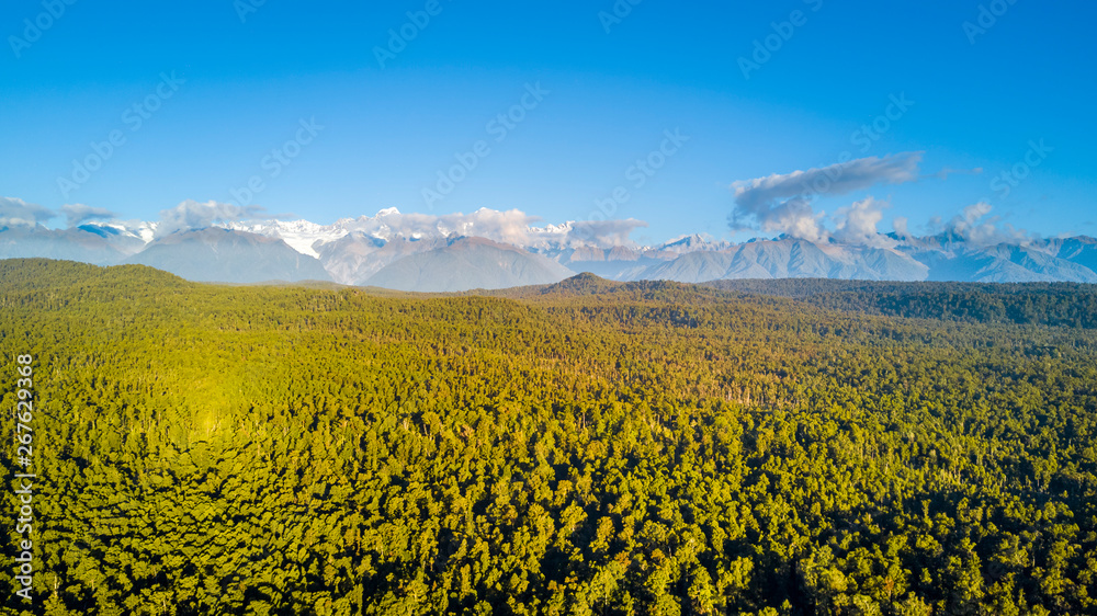 Native rain forest at the shore of Tasman sea with snowy mountains on the background. West Coast, South Island, New Zealand