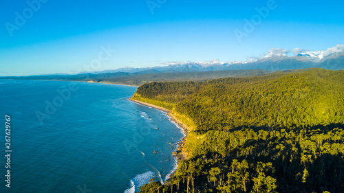 Remote rocky coastline with native forest and snowy mountain peaks on the background. West Coast, South Island, New Zealand
