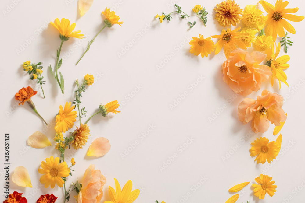 yellow and orange flowers on white background