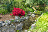 Red Flowers And Creek 5