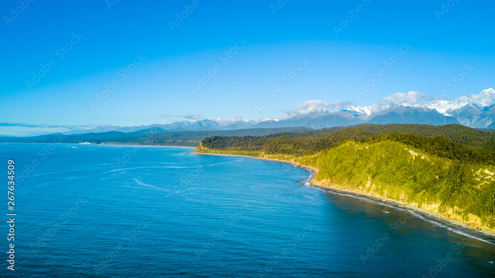Remote rocky coastline with native forest and snowy mountain peaks on the background. West Coast, South Island, New Zealand