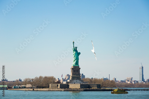Seagull flying towards the Statue of Liberty, New York © willbrasil21
