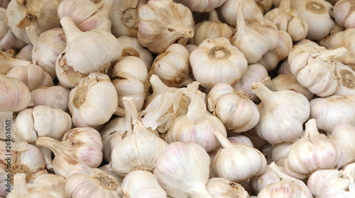 background of organic garlic