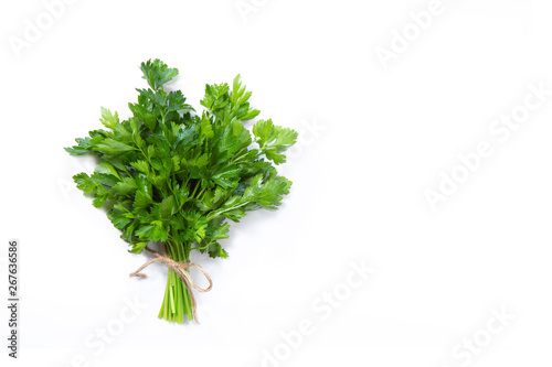 Bunch of parsley on a white isolated background, place for inscription