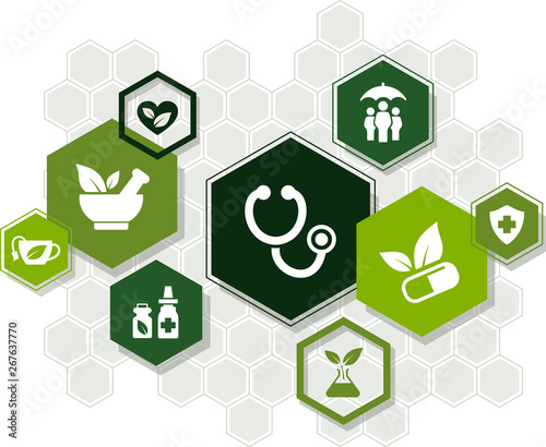 alternative medicine / herbal medicine icon concept – vector illustration