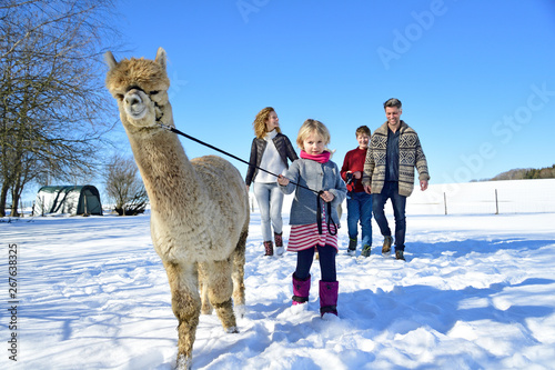Family walking with alpaca on a field in winter