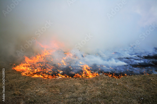 Wild fire spreading through the field of grass very fast burning everything on its way and lefts much smoke