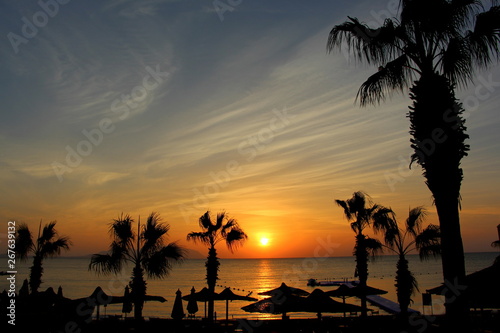  Multi-colored delicate flowers in the summer. Dawn on the beach. Sun and sea in the early morning. Beautiful seascape.