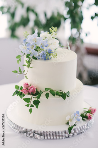 Big white wedding cake with fruit is on the table