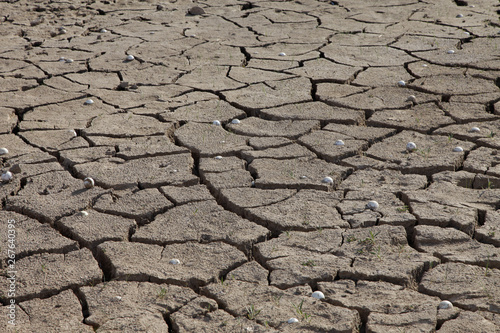 Drought. Golf balls revealed in mud
