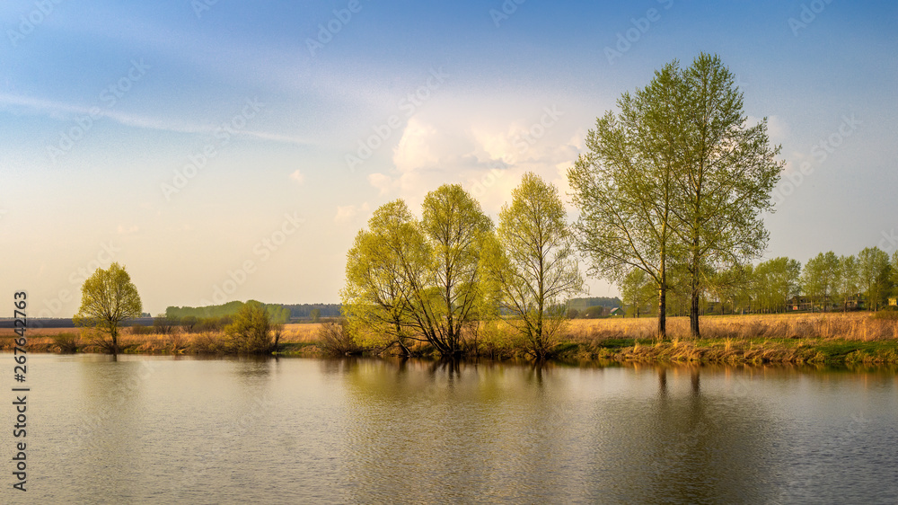evening landscape on the Ural river with trees on the shore, Russia, may spring