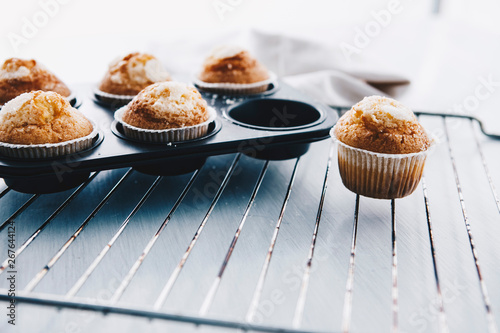 Home-baked muffins in muffin tray on cooling grid photo