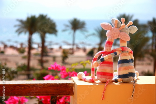 Photography Two knitted giraffe from cotton yarn