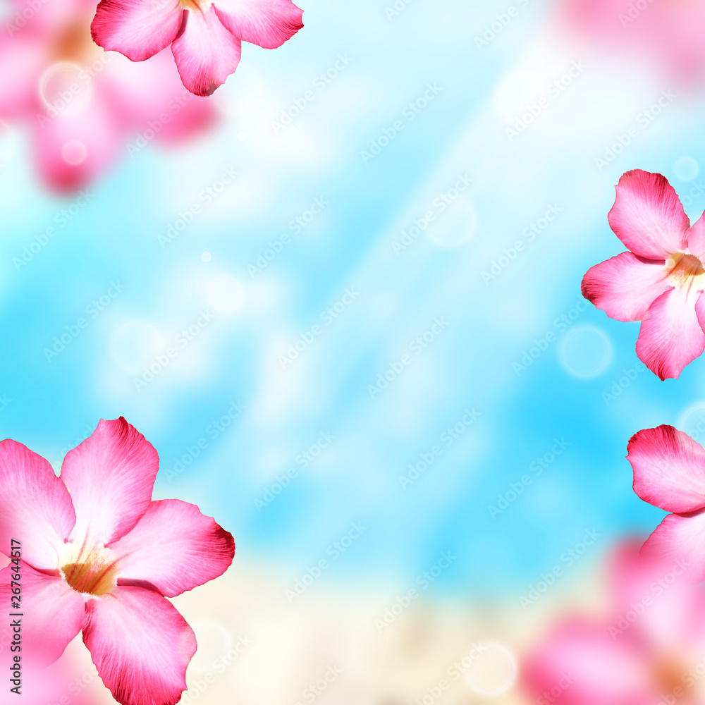 Abstract summer background with pink flowers