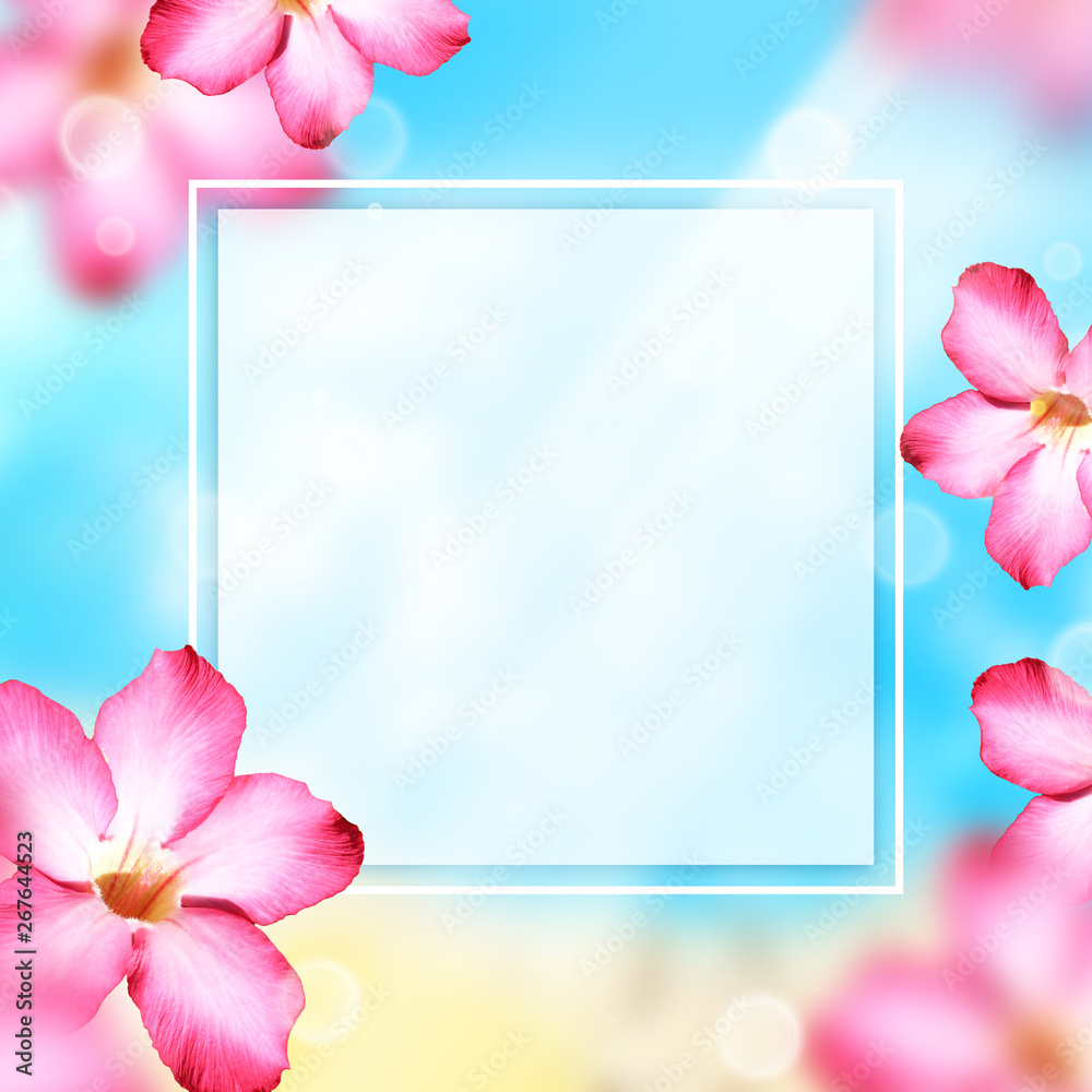 Obraz premium Summer frame with tropical flowers 
