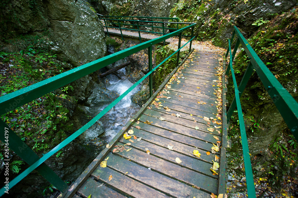 Construction for walking through Vrajzi prolaz (Devil's pass) near Skrad in Gorski kotar, Croatia
