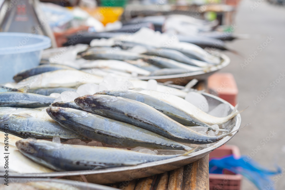 Fresh fishes on ice background Fresh fishes on ice background