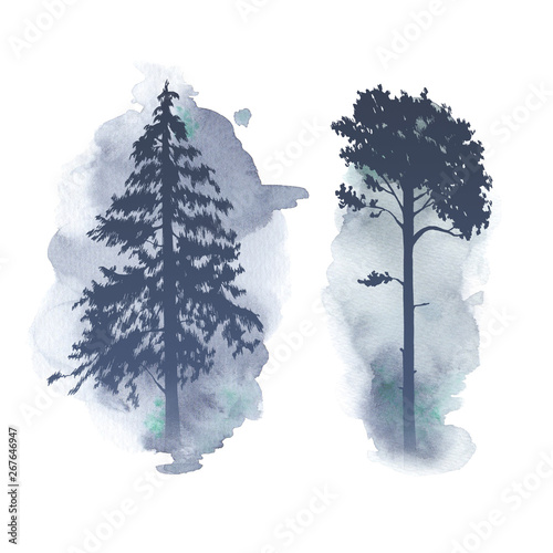 Silhouettes of two pine trees on watercolor background. Misty forest illustration.