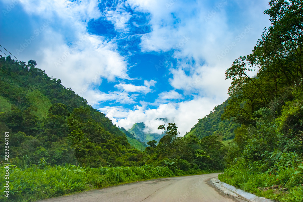South America. Ecuador. Andes mountains covered with greenery. An asphalt road leads to Andes mountains. Landscape of Ecuador. Sightseeing In Ecuador.