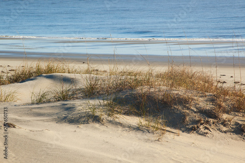 Sand dunes at the ocean