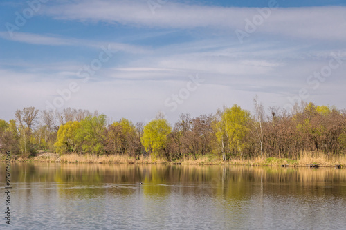 The lake's coast in the spring