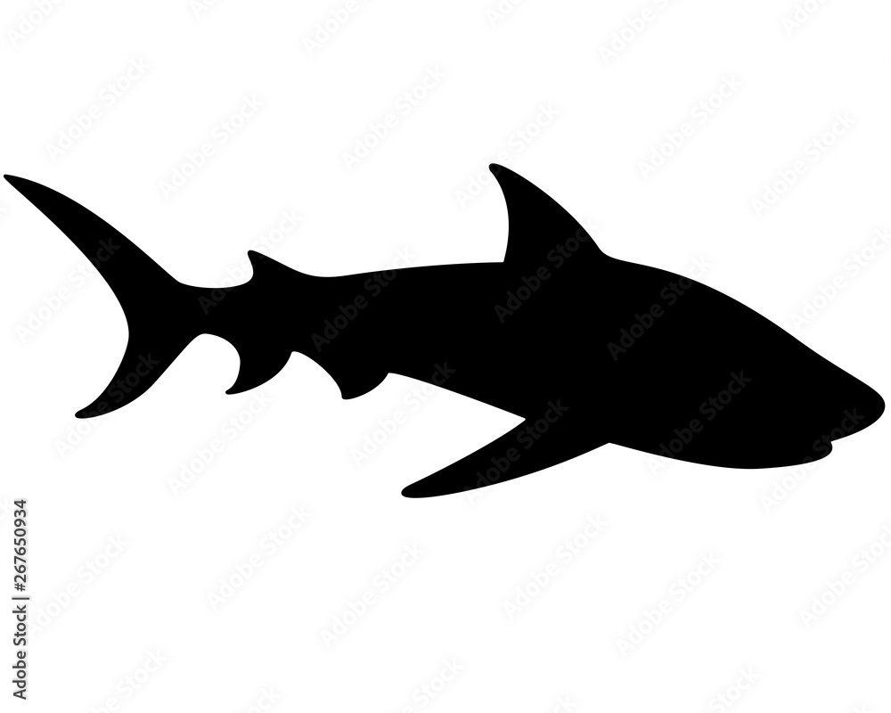 Shark Silhouette - vector template for a logo or badge. Outline. Vector animal - shark fish.