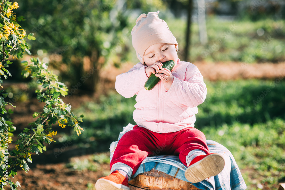 Funny little girl eating fresh cucumber in the garden in spring Funny little girl eating fresh cucumber in the garden in spring