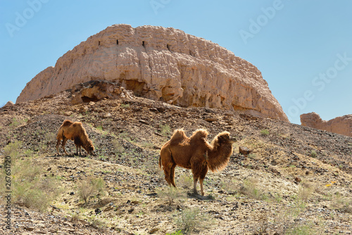 The largest ruins castles of ancient Khorezm – Ayaz - Kala, Uzbekistan.