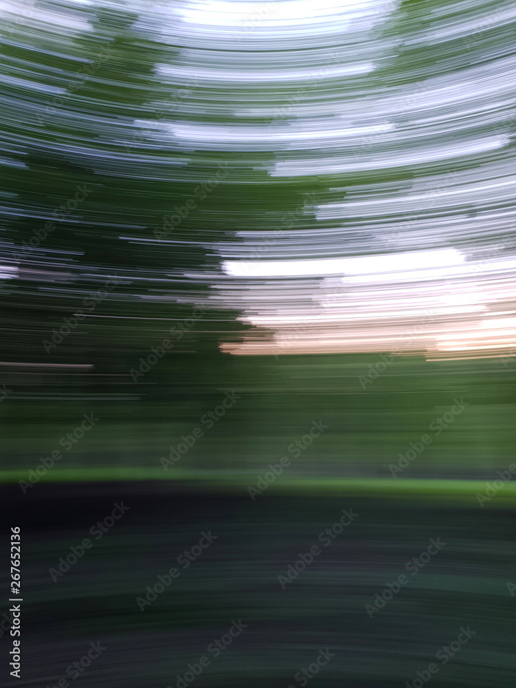 Texture blurred background in motion in summer forest.. Texture blurred background in motion in summer forest..