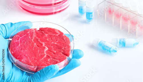 Meat sample in open  disposable plastic cell culture dish in modern laboratory