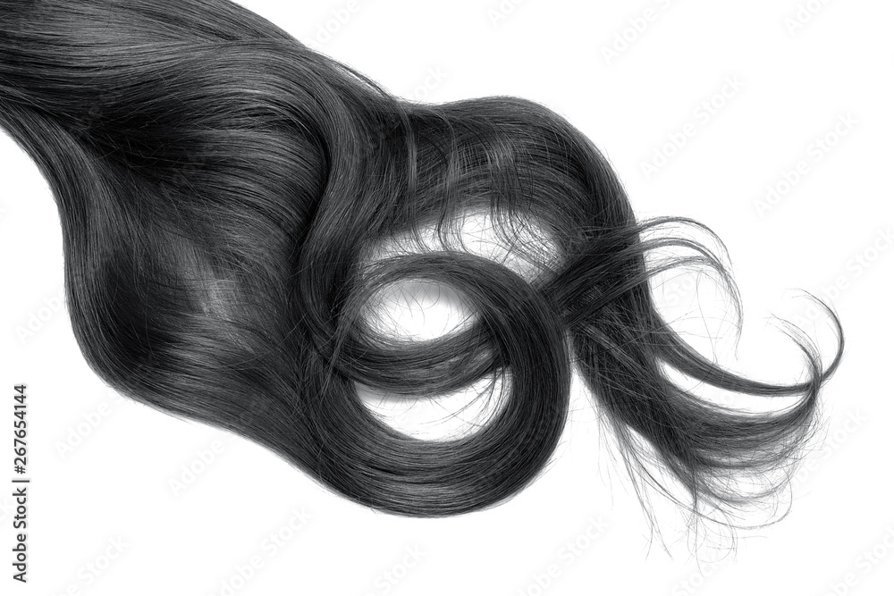 Disheveled black hair isolated on white background. Long wavy ponytail Disheveled black hair isolated on white background. Long wavy ponytail