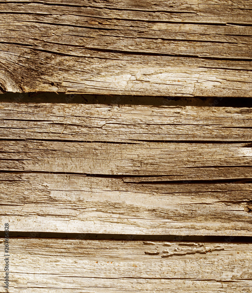 Fototapeta premium Holz1905a