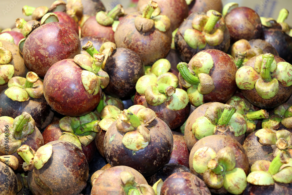 Φωτογραφία Mangosteen fruits at the night market - Kota Kinabalu Sabah Borneo Malaysia Asia