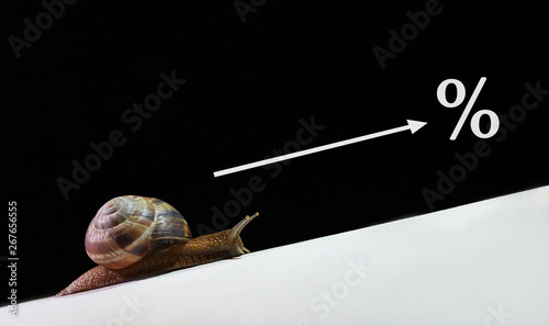 Big snail crawling up the mountain. Concept of slow business growth and profits.