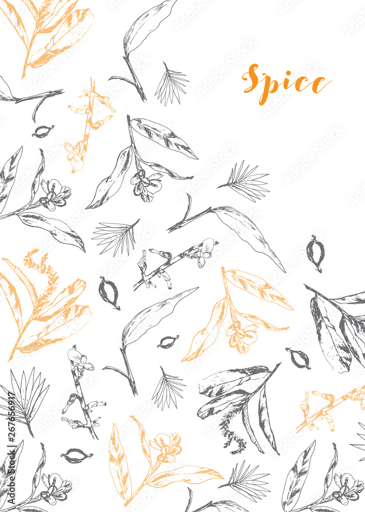 Obraz premium natural herb background