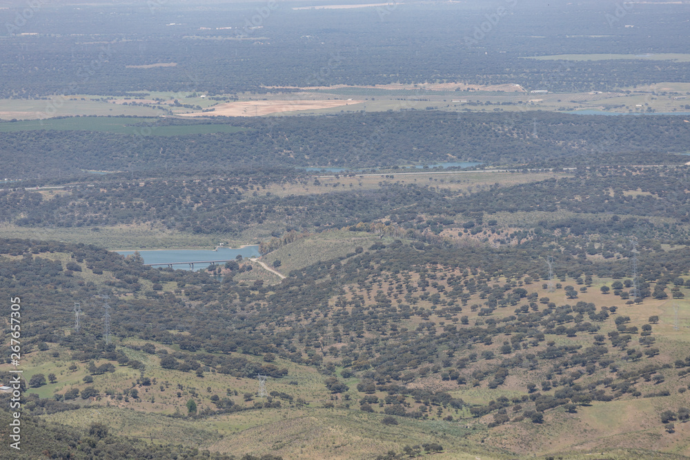 pamoramic view of extremadura dehesa