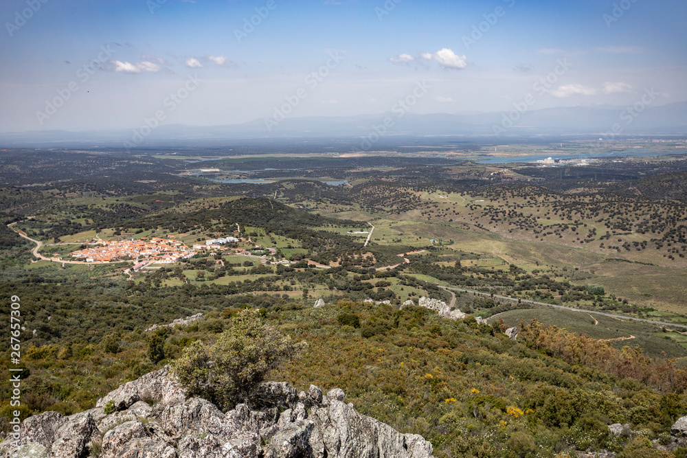 pamoramic view of extremadura dehesa