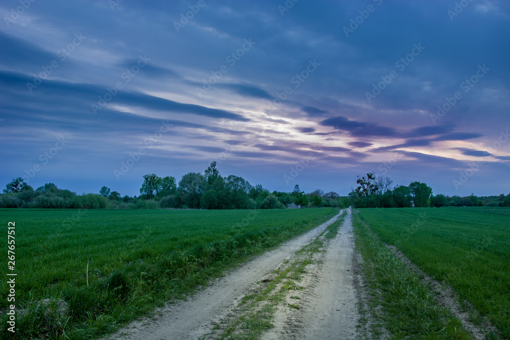 Road through green fields, trees and dark clouds on the sky