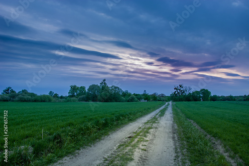 Road through green fields, trees and dark clouds on the sky © darekb22