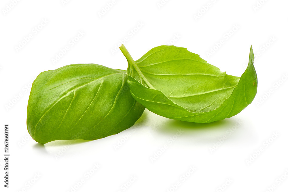 Fototapeta premium Fresh organic basil leaves, close-up, isolated on white background