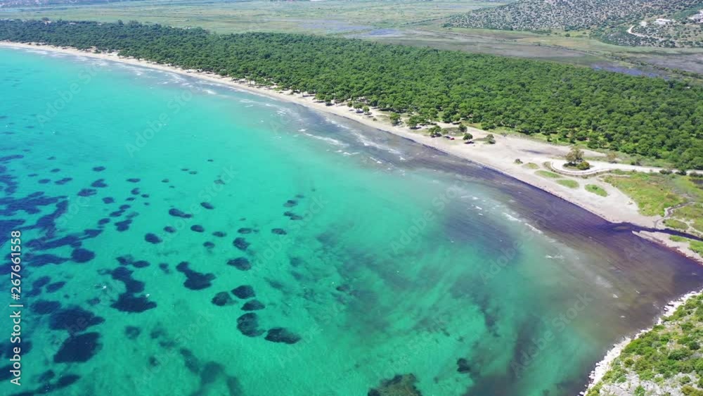 Aerial bird's eye view video taken by drone of tropical seascape and sandy beach with turquoise clear waters and pine trees