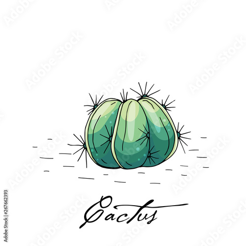 Poster with hand drawn cactus isolate on a white background.