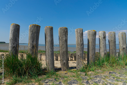 breakwater on the beach of Westerschelde in Hoofdplaat, the Netherlands