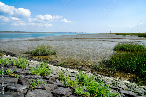 silk, mudflat on the beach of Hoofdplaat, Zeeland, The Netherlands photo