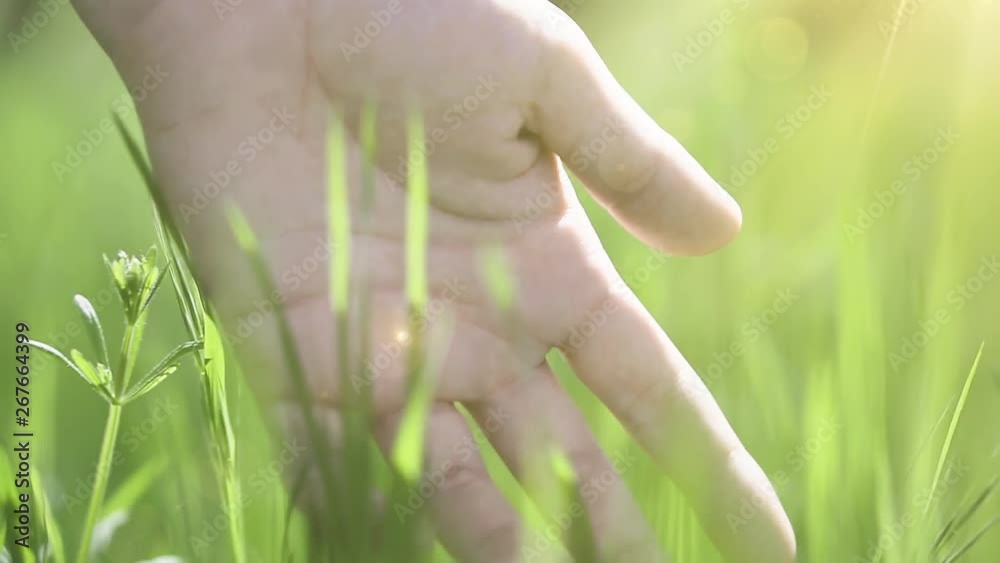 Female hand moving over grass, slow motion. Female hand moving over grass, slow motion.