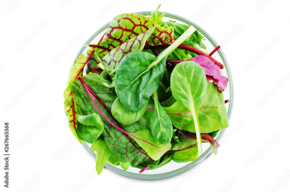 Green leaves for lettuce, spinach, chard, arugula, beet greens on a white isolated background Green leaves for lettuce, spinach, chard, arugula, beet greens on a white isolated background