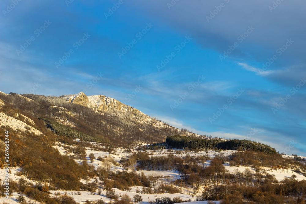 Distant snow capped rocky summit and colorful forest in the winter wonderland below blue sky